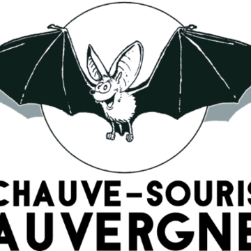 Chauve-Souris Auvergne