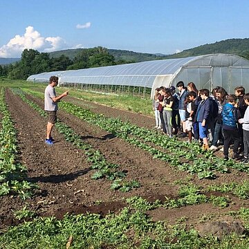 Service Agriculture et Forêt