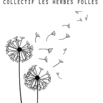 Collectif Les Herbes Folles