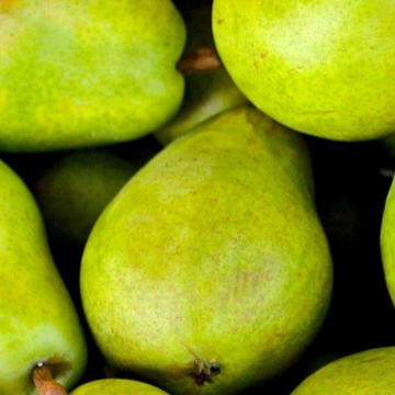 Jeu "Les Fruits & Légumes de saison"