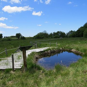 Tourbière de Jouvion