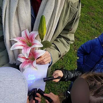 Les super-sens des animaux