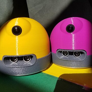 Un robot sur la route des animaux